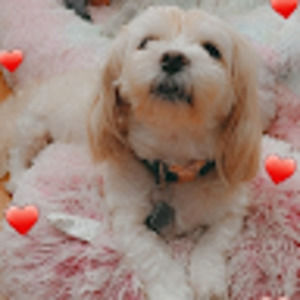 Meet your Posher, Marie